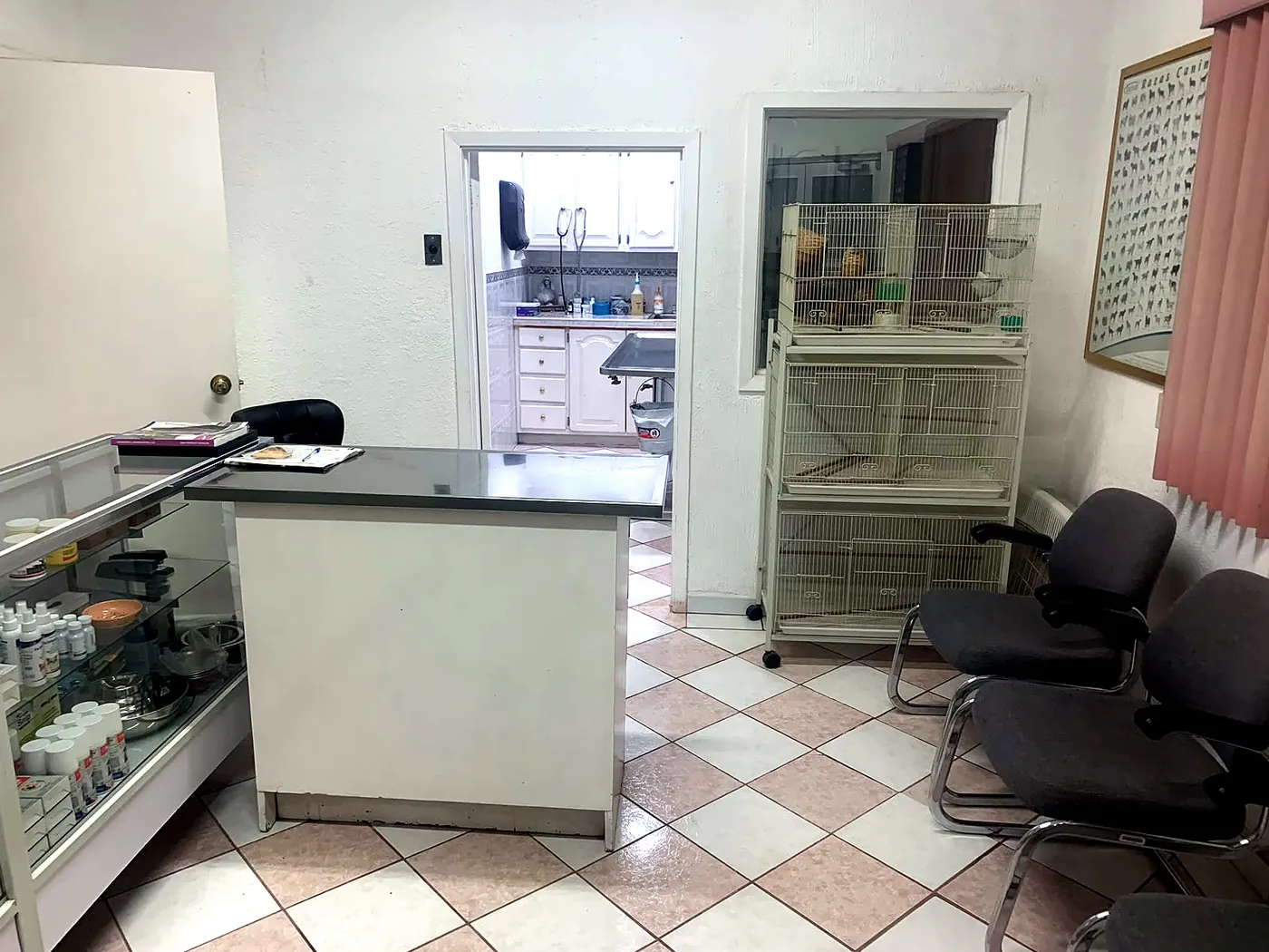 Recepción de la clínica con mostrador, vitrina de productos, jaulas y sillas de la sala de espera